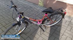 Rower miejski - trekingowy - Obrazek 2