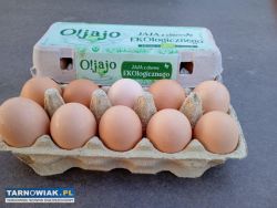 Jajka wiejskie - Obrazek 1