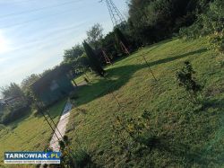 Ogródek działkowy Tarnów, ROD Oaza ul Rudy Młyny - Obrazek 2