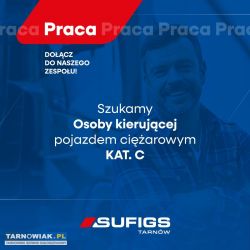 Kierowca/Kierowczyni - Obrazek 1