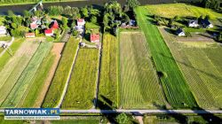 Zagórze- Rożnów-30 ar - Obrazek 1