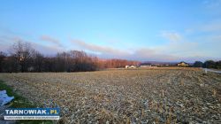 Budowlana- Nowodworze - Obrazek 1