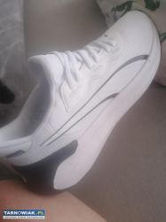 Puma nowe - Obrazek 1