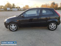 ladna fiesta - Obrazek 2