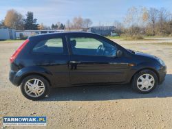 ladna fiesta - Obrazek 3