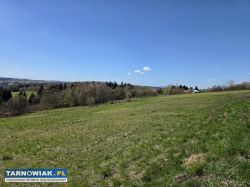 Urokliwa działka z widokiem na Tatry 58 arów - Obrazek 4