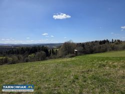 Urokliwa działka z widokiem na Tatry 58 arów - Obrazek 3