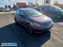 Peugeot 307 2.0hdi 90km 05r - Obrazek 1