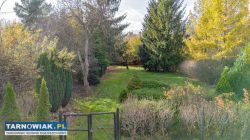 Działka na sprzedaż 10 ar - Obrazek 1