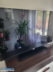 Telewizor Philips 49 cali - Obrazek 1