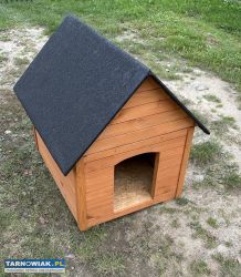 Buda dla psa - Obrazek 1