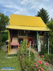 Sprzedam działkę w ROD  " Semafor" - Obrazek 3