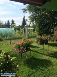 Sprzedam działkę w ROD  " Semafor" - Obrazek 4