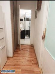 Wynajmę - Obrazek 4