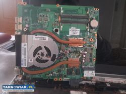 plyte glwona - Obrazek 1