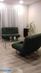 Zielone fotele do salonu - Obrazek 1