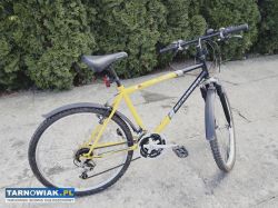 Rower górski - Obrazek 3