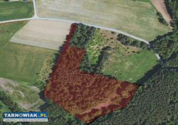 Trzy Działki budowlane w msc Grabiny Głowaczowa - Obrazek 1