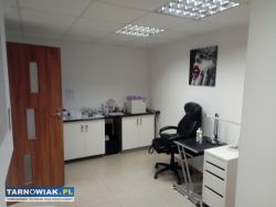 Tani duży koło Almy - Obrazek 3