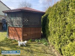 Altana Ogrodowa Drewniana - Sześciokoątna - Obrazek 3