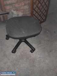 oddam zw darmo - Obrazek 2