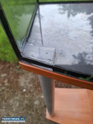 Akwarium plus szafka - Obrazek 4