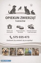 Opiekun/ opieka nad psem, kotem. - Obrazek 1