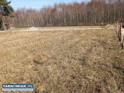 Działka budowlana 10 ar Błonie gm Tarnow - Obrazek 3