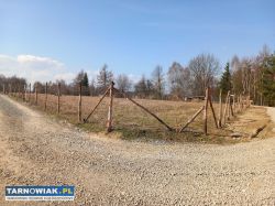 Działka budowlana 10 ar Błonie gm Tarnow - Obrazek 4