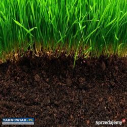 Ziemia ogrodowa - Obrazek 2