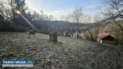 Siedlisko w otulinie lasów w msc. Gwoździec - Obrazek 3