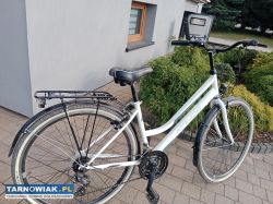 Rower miejski - Obrazek 1