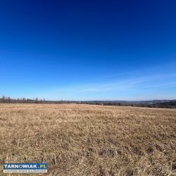 Działka widokowa pod zabudowę mieszkaniową - Obrazek 4