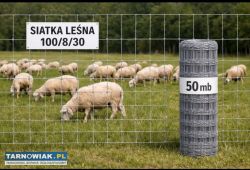 Siatka leśna 100/8/30 rolka 50mb - Obrazek 1