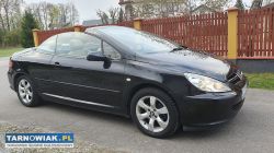 Peugeot 307 cc- 2.0 benzyna - Obrazek 1