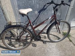 Rower romet - Obrazek 1