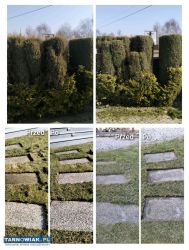 Usługi ogrodnicze - Obrazek 4