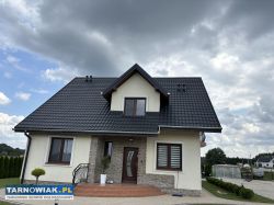 Malowanie dachów - Obrazek 2