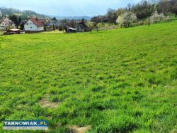 Sprzedam Działkę w Janowice gmina Pleśna - Obrazek 2