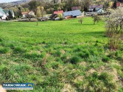 Sprzedam Działkę w Janowice gmina Pleśna - Obrazek 4