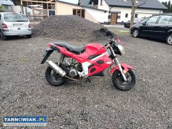 Kingway Leike Lk50gy-2 08r - Obrazek 2