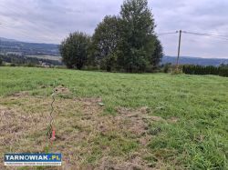 Ostatnie 3 sąsiednie działki! 1 z 4 już sprzedana - Obrazek 2