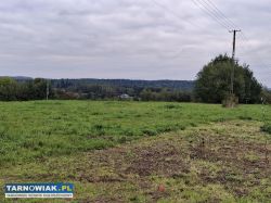Ostatnie 3 sąsiednie działki! 1 z 4 już sprzedana - Obrazek 2