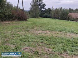 Ostatnie 3 sąsiednie działki! 1 z 4 już sprzedana - Obrazek 3