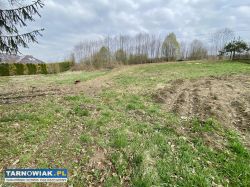 Sprzedam działkę budowlaną w Zaczarniu - Obrazek 3