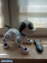 Piesek interaktywny - Obrazek 2