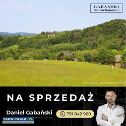 Działka budowlana w otoczeniu lasu - słona - Obrazek 4