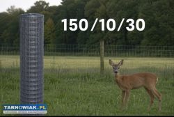 Siatka leśna 150/10/30 rolka 50mb - Obrazek 1