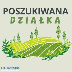 Szukam działki – powiat tarnowski - Obrazek 1