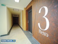 Apartament na Wzgórzu Ablewicza - Obrazek 4